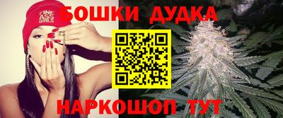 Альфа ПВП Гатчина