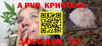 Альфа ПВП Гатчина