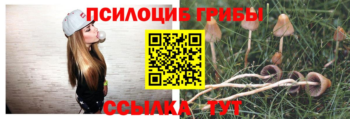 Псилоцибиновые грибы прущие грибы  Вход с VPN  Москва 