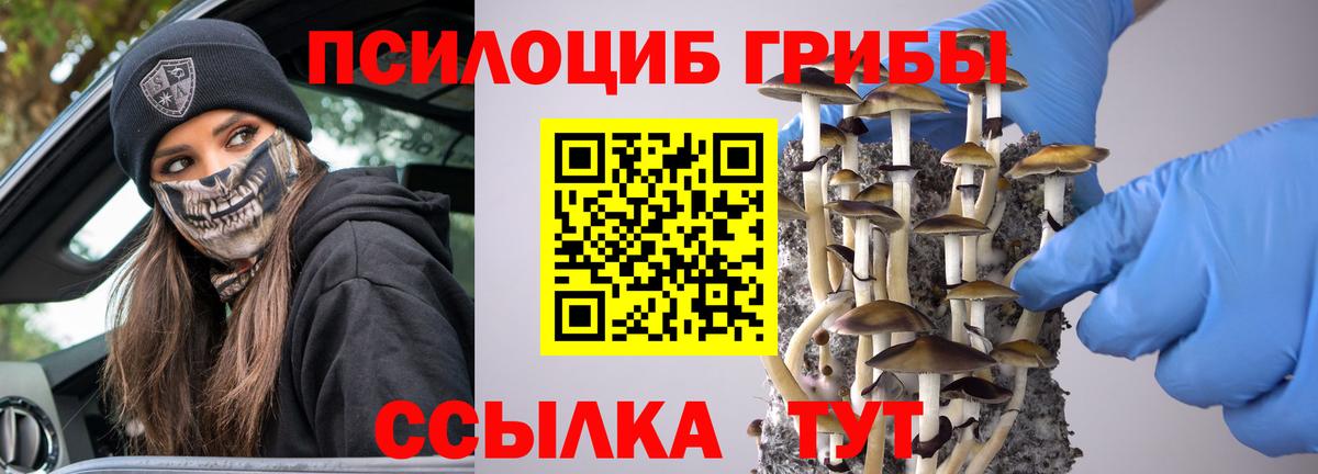 Галлюциногенные грибы мицелий Москва